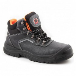 TRZEWIK R02 S3 SRC - BEARFIELD