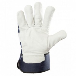 HADDOCK NL RR-901 - HADDOCK 2