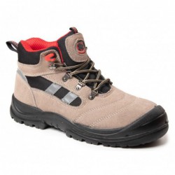 TRZEWIK R01 S1 SRC - BEARFIELD